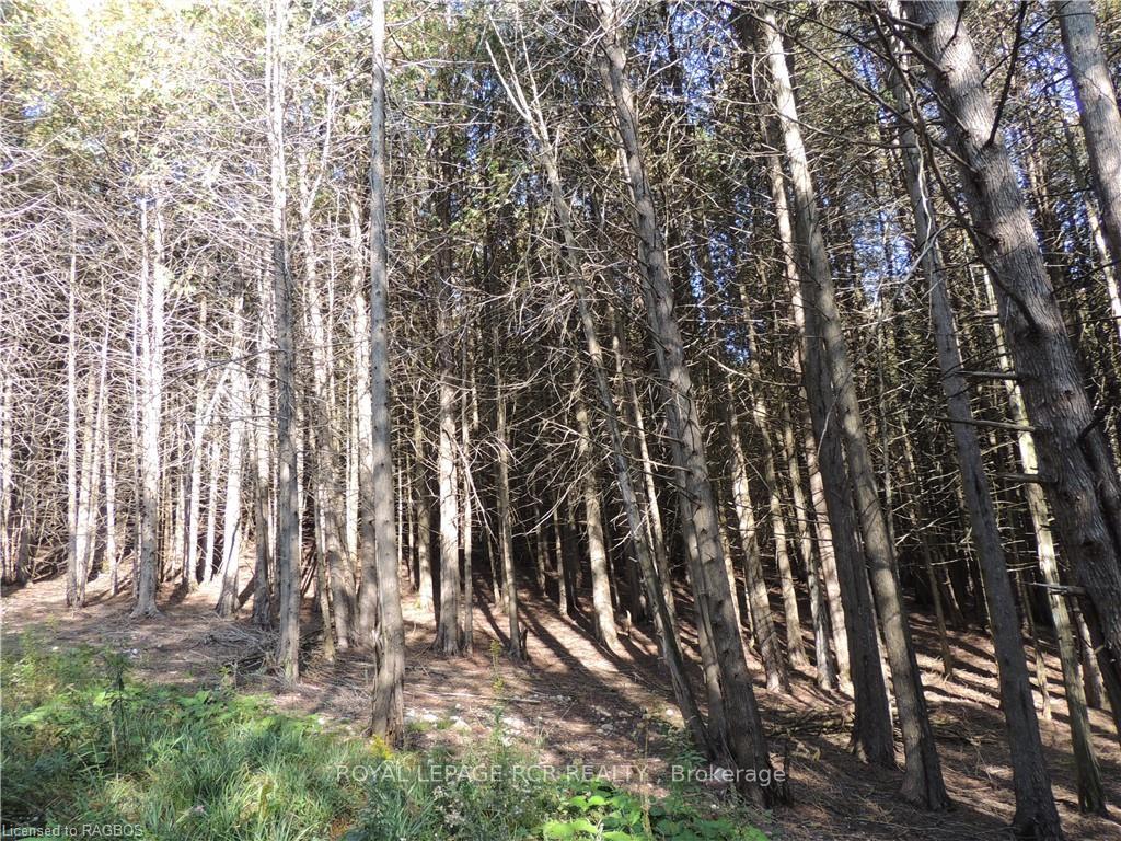 Photo 9 of 384551 Concession 4, West Grey — HOMEH
