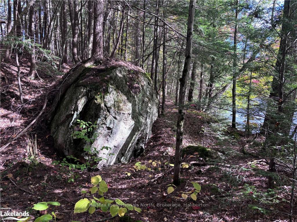 Photo 3 of LOT 15, Algonquin Highlands, Stanhope — HOMEH