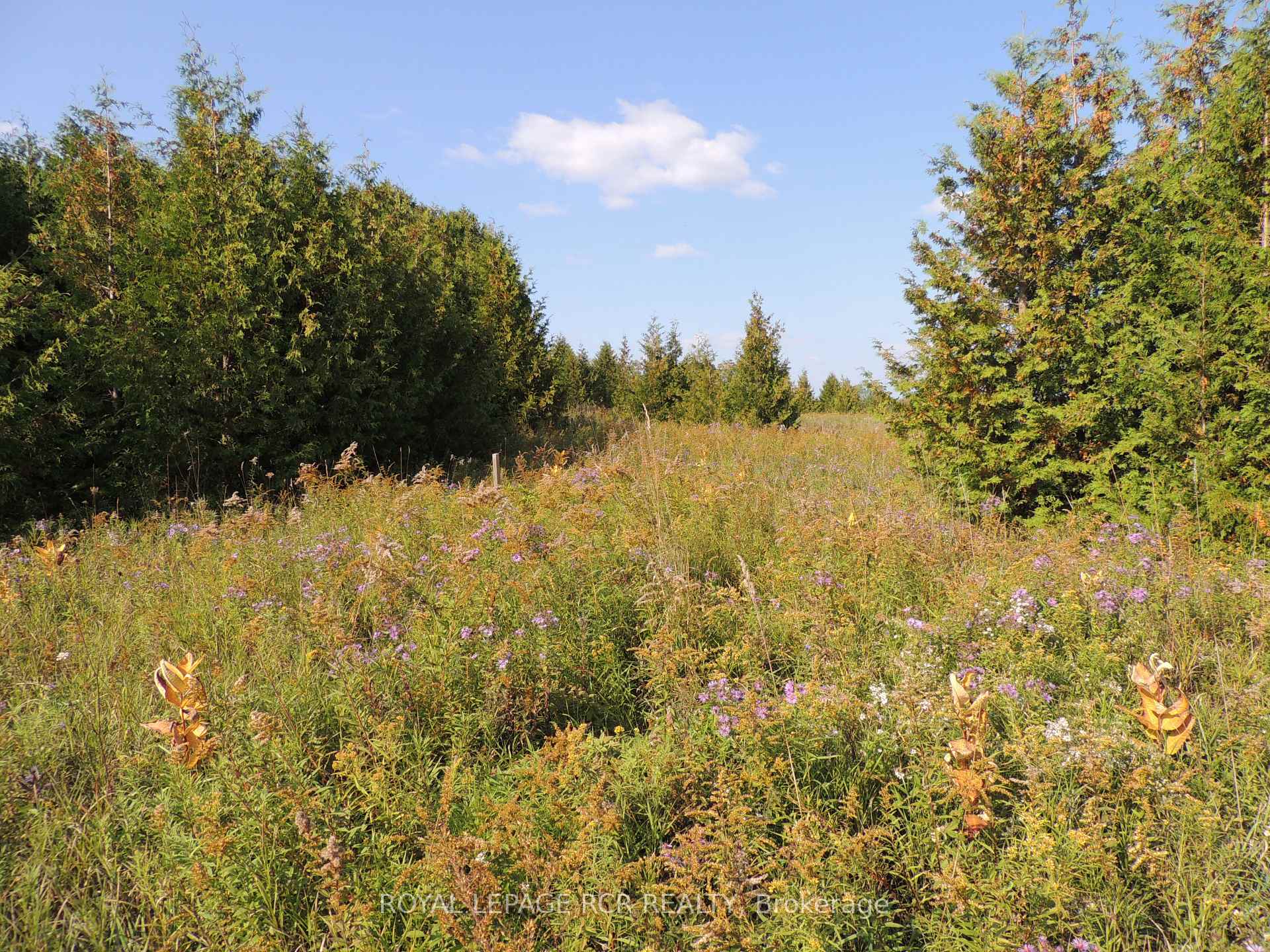 Photo 1 of 384551 Concession Rd 4, West Grey — HOMEH