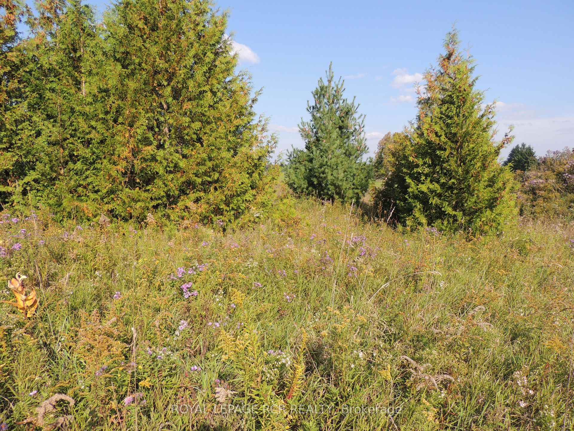 Photo 5 of 384551 Concession Rd 4, West Grey — HOMEH