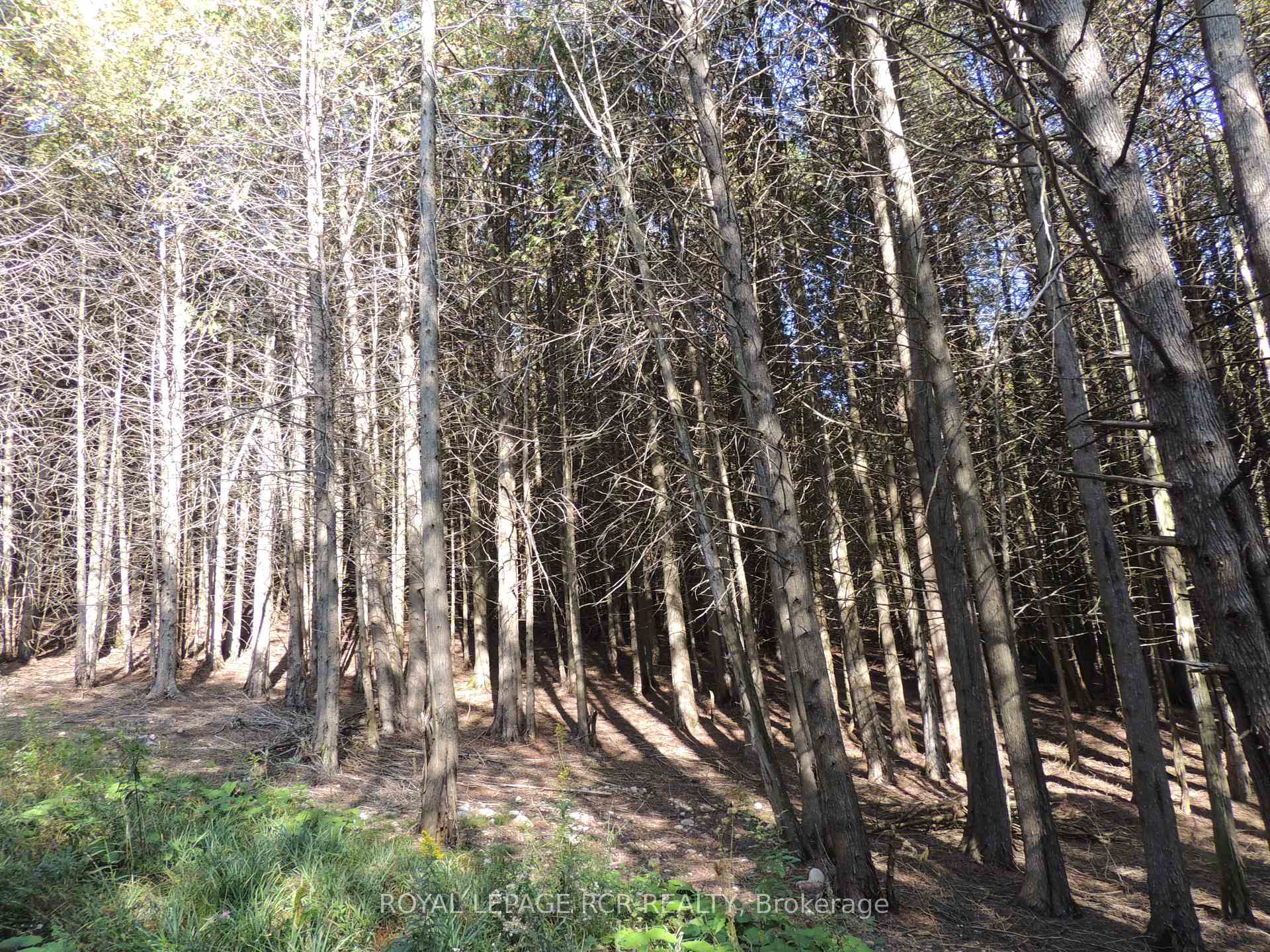Photo 9 of 384551 Concession Rd 4, West Grey — HOMEH