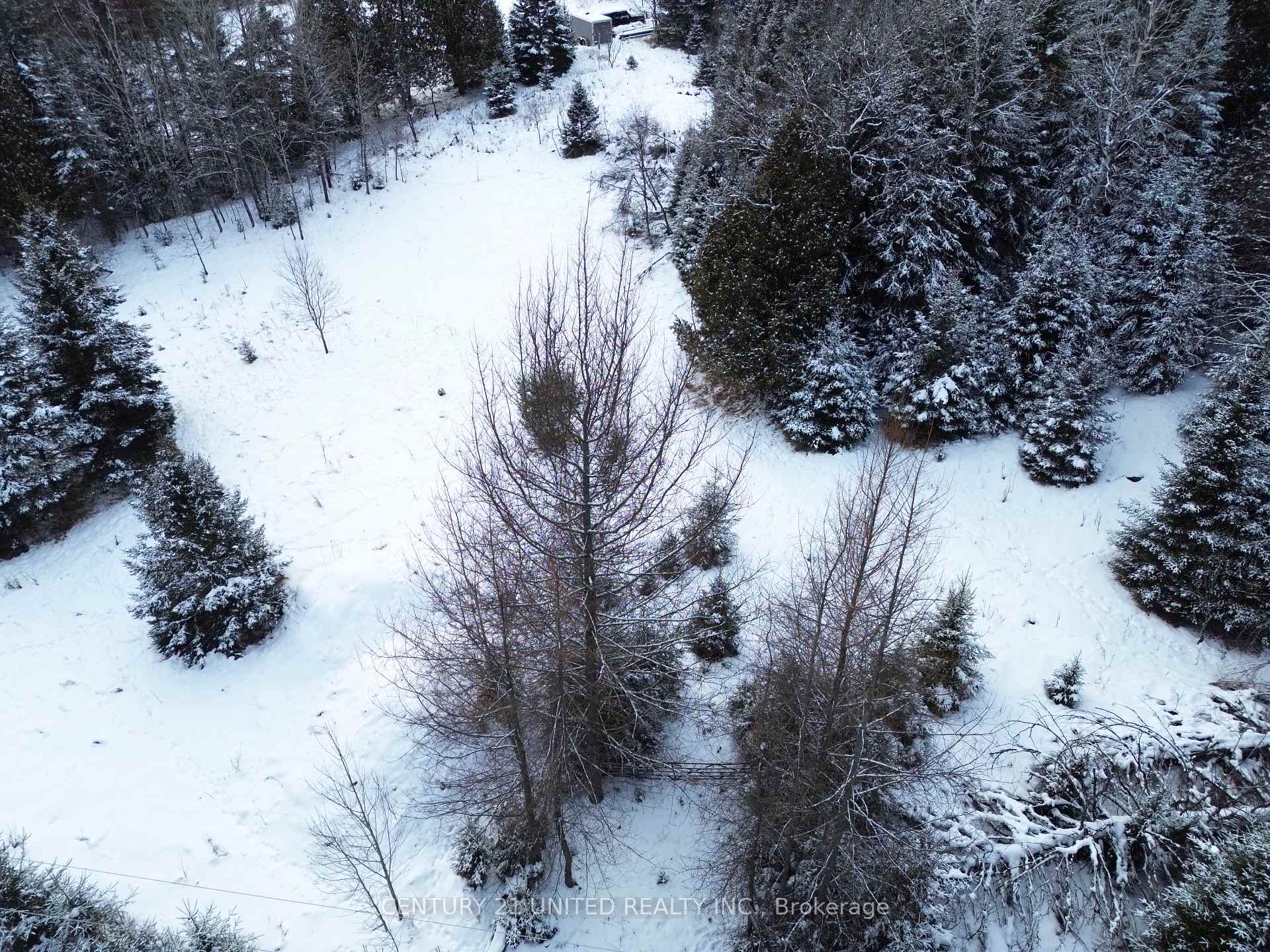 Photo 9 of Crawford Road, Bancroft, Dungannon Ward — HOMEH