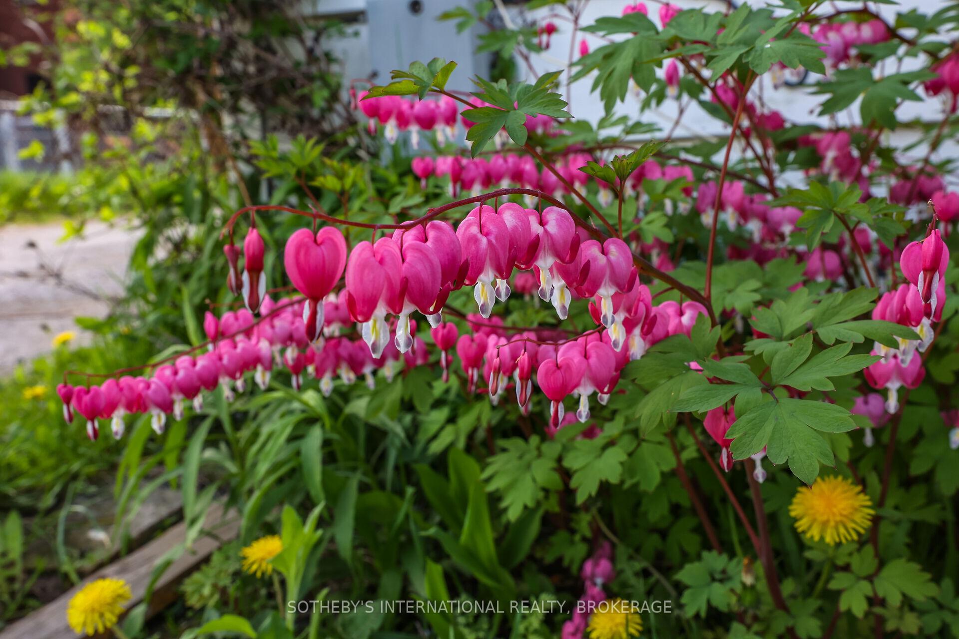 Photo 24 of 332 Niagara Street, Welland, Prince Charles — HOMEH