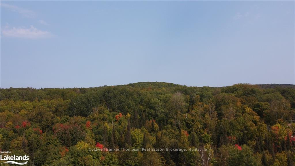 Photo 1 of 1471 Pickerel And Jack Lake Road, Armour — HOMEH