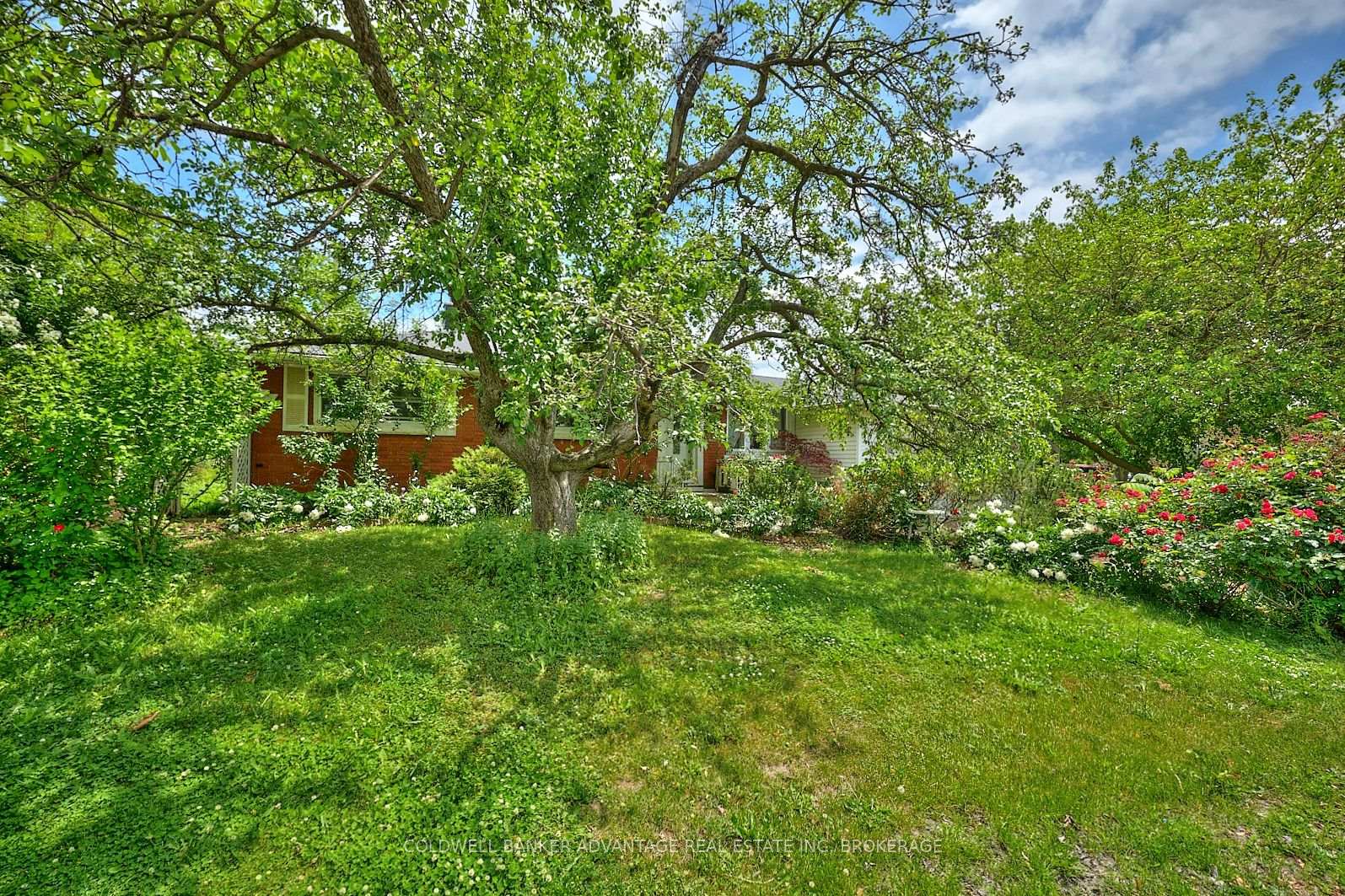 Photo 3 of 25 Riverview Drive, Welland, Prince Charles — HOMEH