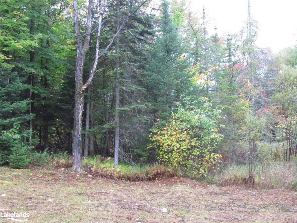 Photo 1 of 443 Three Mile Lake Road E, Armour — HOMEH