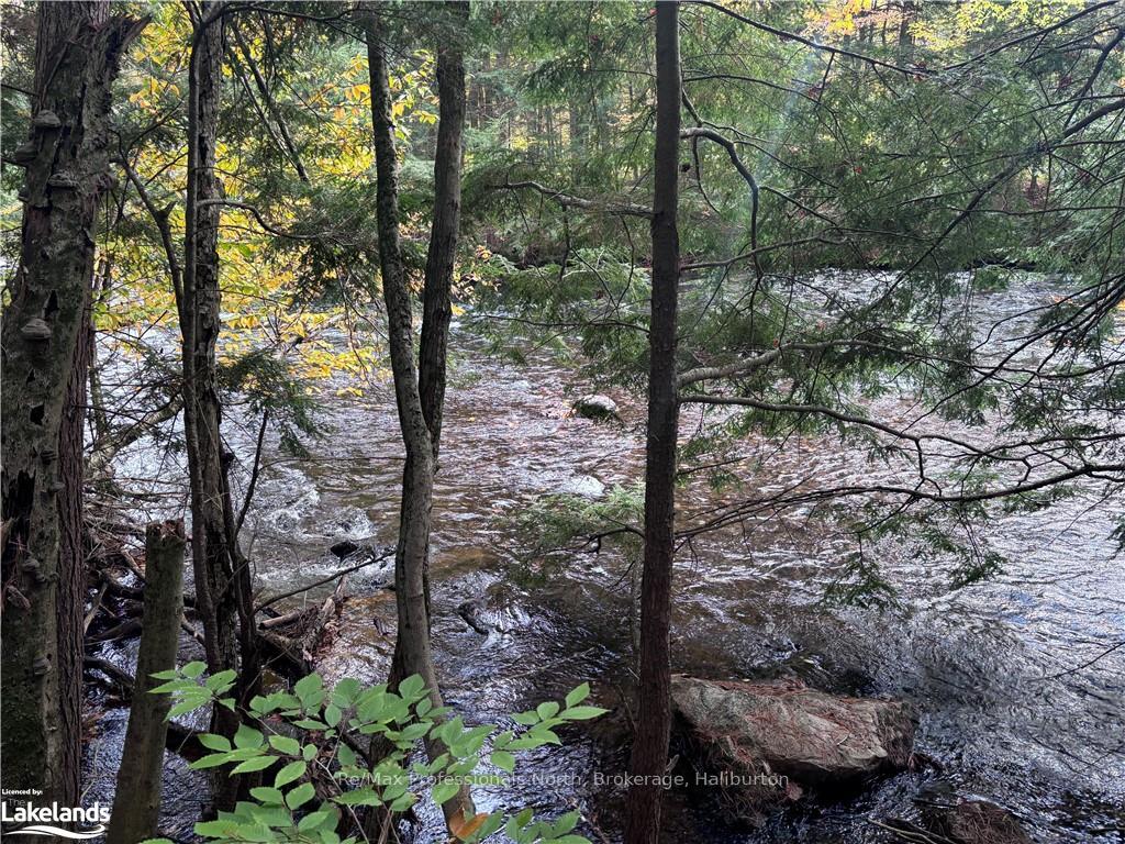 Photo 4 of LOT 13, Algonquin Highlands, Stanhope — HOMEH