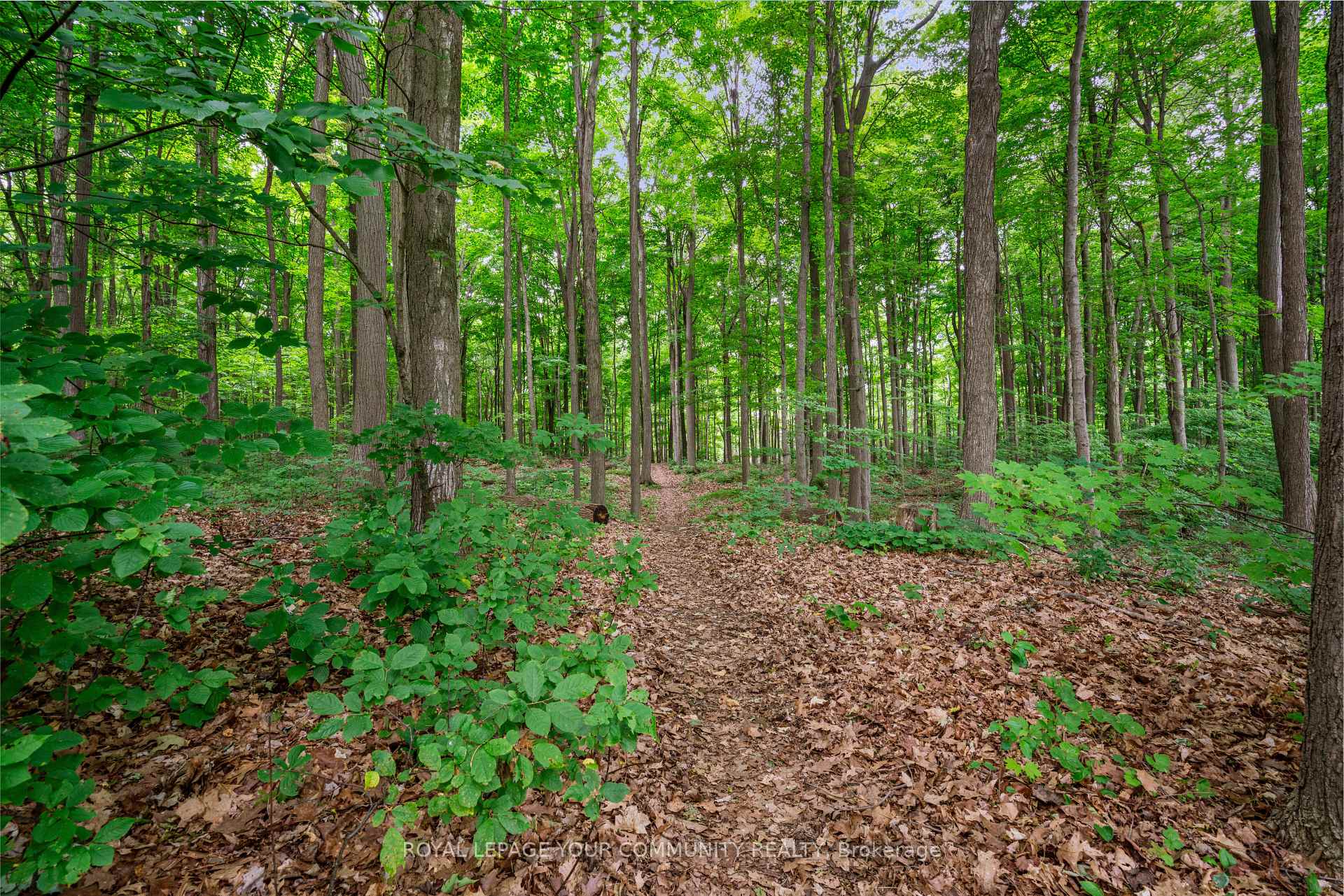 Photo 2 of 209 Tamarac Trail, Aurora, Aurora Highlands — HOMEH