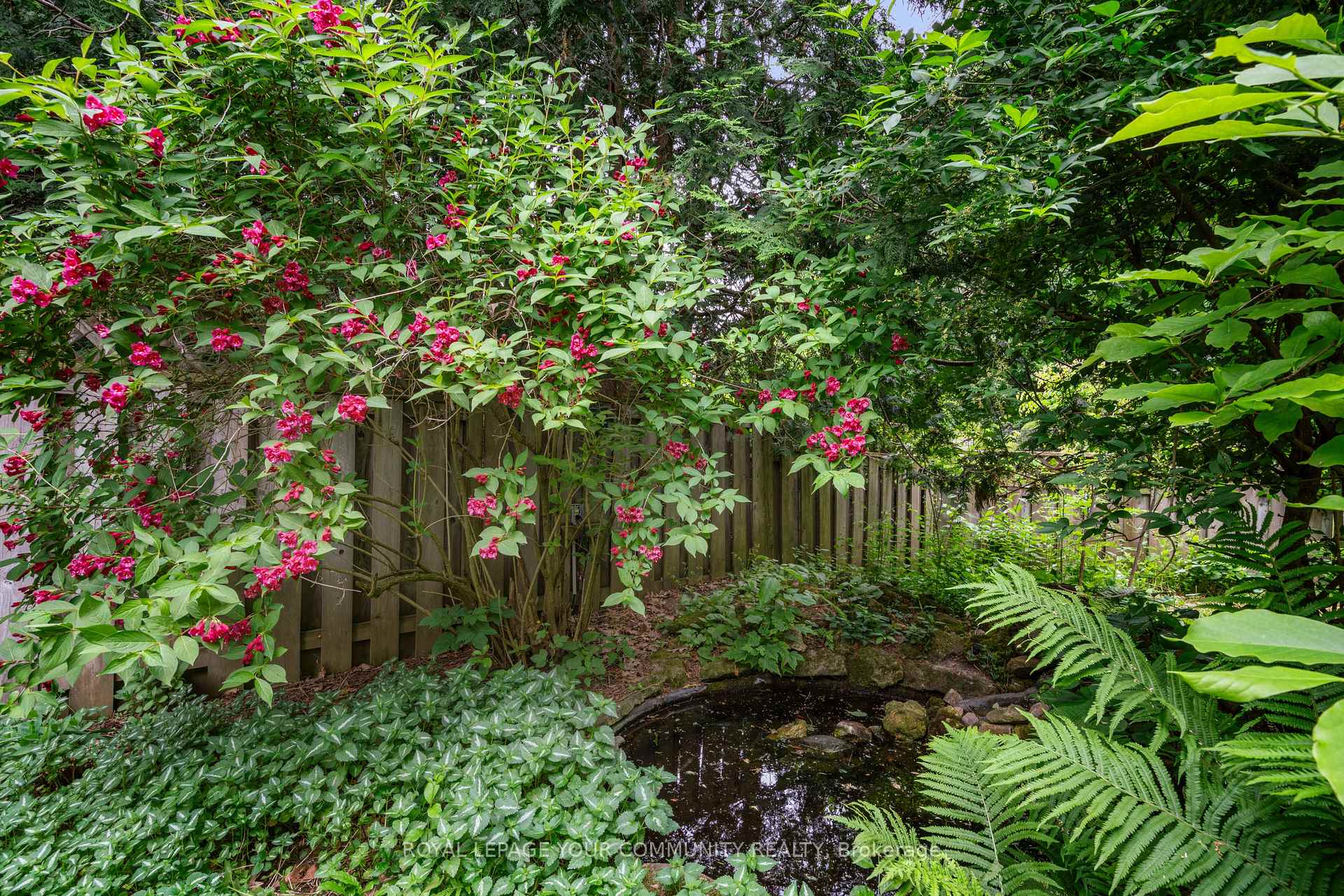 Photo 17 of 209 Tamarac Trail, Aurora, Aurora Highlands — HOMEH