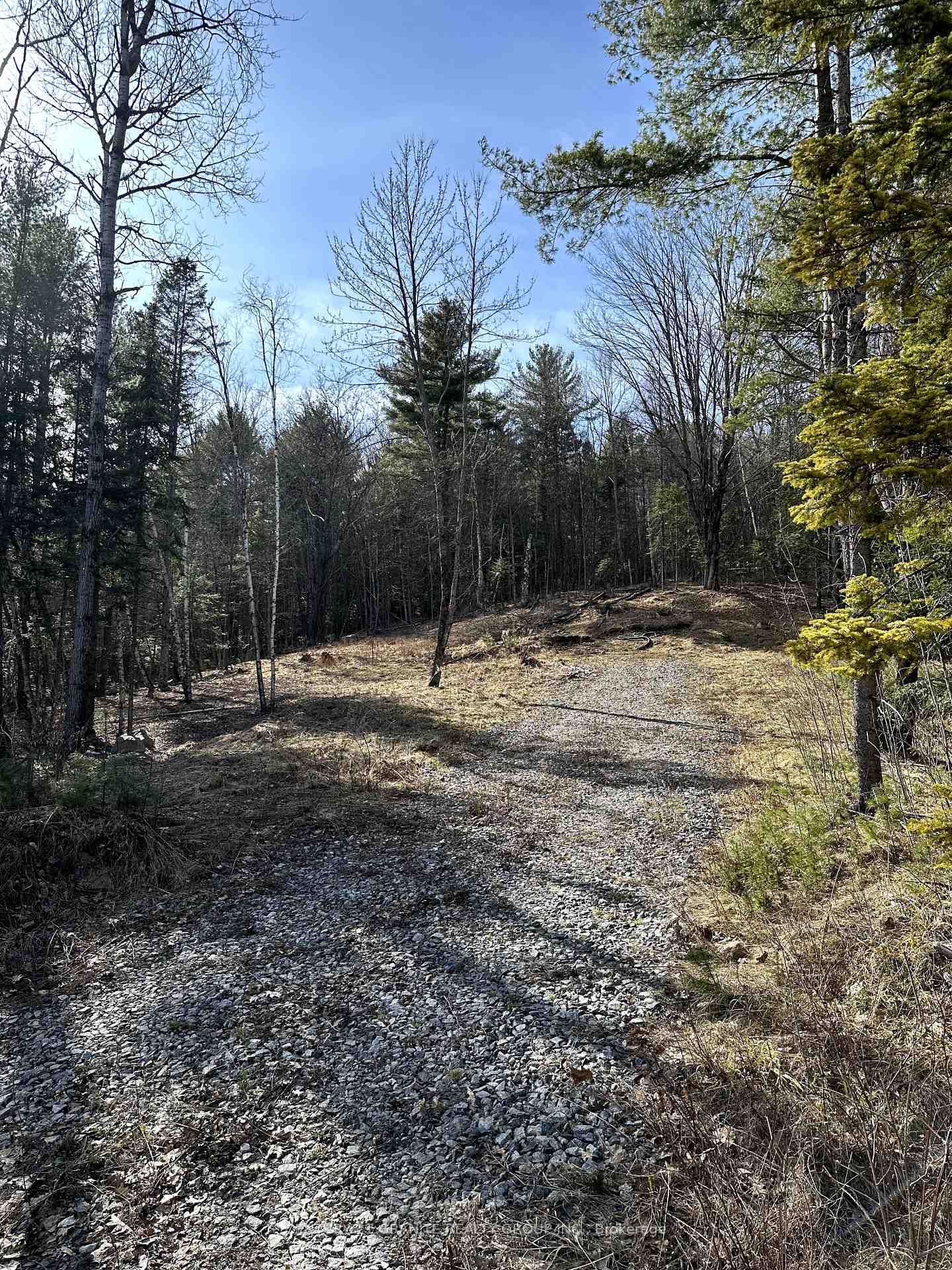 Photo 14 of 143 Maxwell Settlement Road, Bancroft, Bancroft Ward — HOMEH
