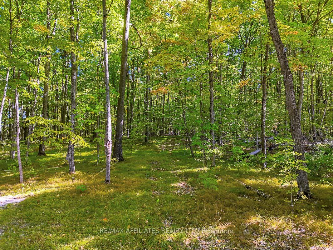 Photo 11 of 170 James Andrew Way, Beckwith, Beckwith Twp — HOMEH