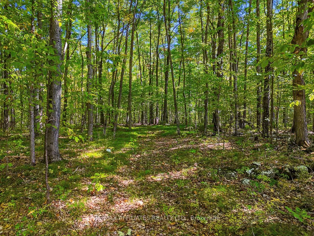 Photo 13 of 170 James Andrew Way, Beckwith, Beckwith Twp — HOMEH