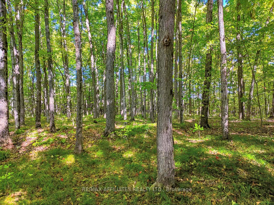Photo 14 of 170 James Andrew Way, Beckwith, Beckwith Twp — HOMEH