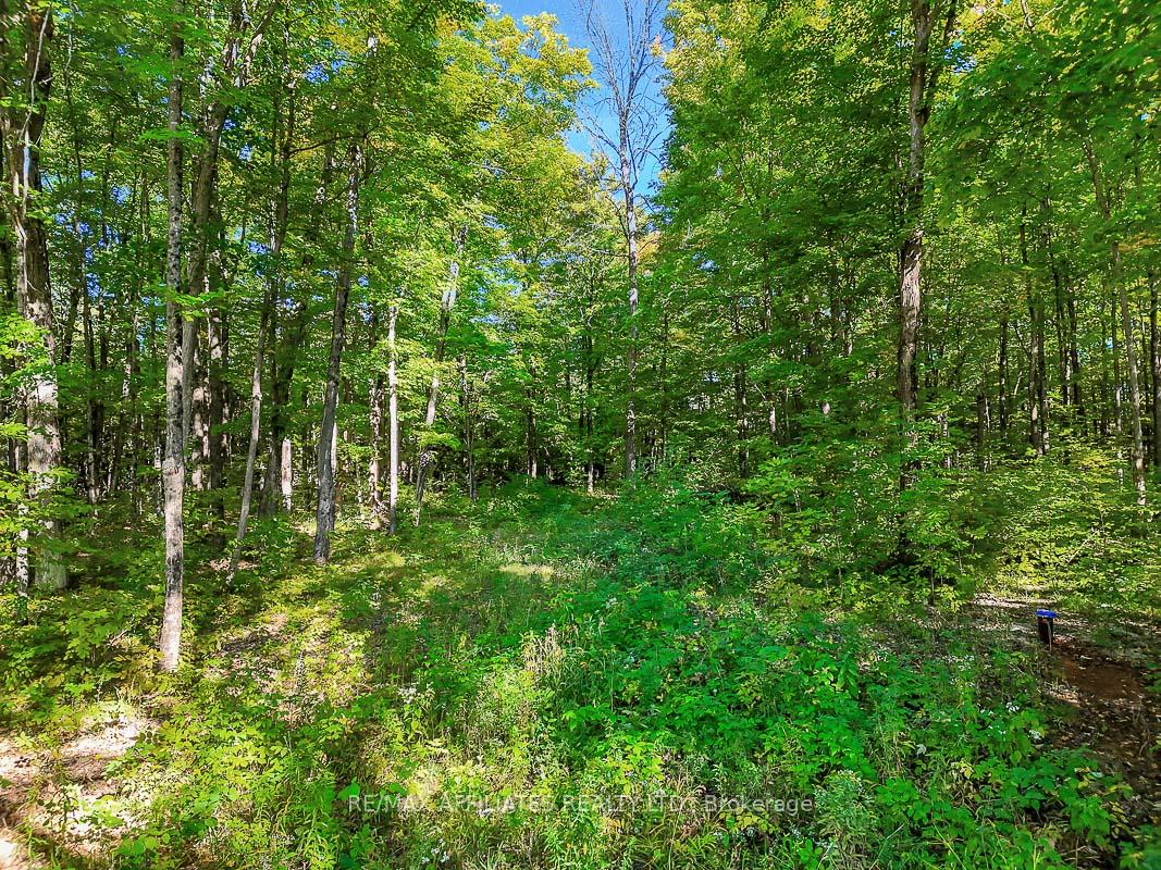Photo 15 of 170 James Andrew Way, Beckwith, Beckwith Twp — HOMEH