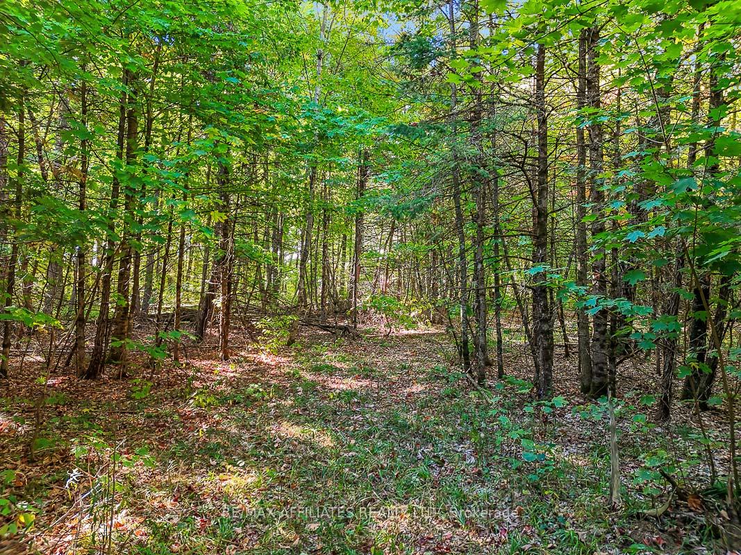 Photo 17 of 170 James Andrew Way, Beckwith, Beckwith Twp — HOMEH