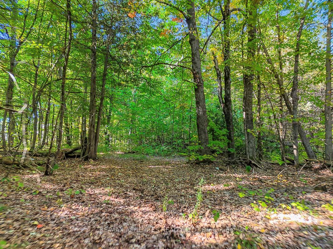 Photo 16 of 170 James Andrew Way, Beckwith, Beckwith Twp — HOMEH