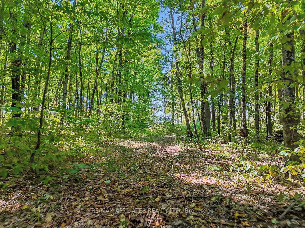 Photo 18 of 170 James Andrew Way, Beckwith, Beckwith Twp — HOMEH