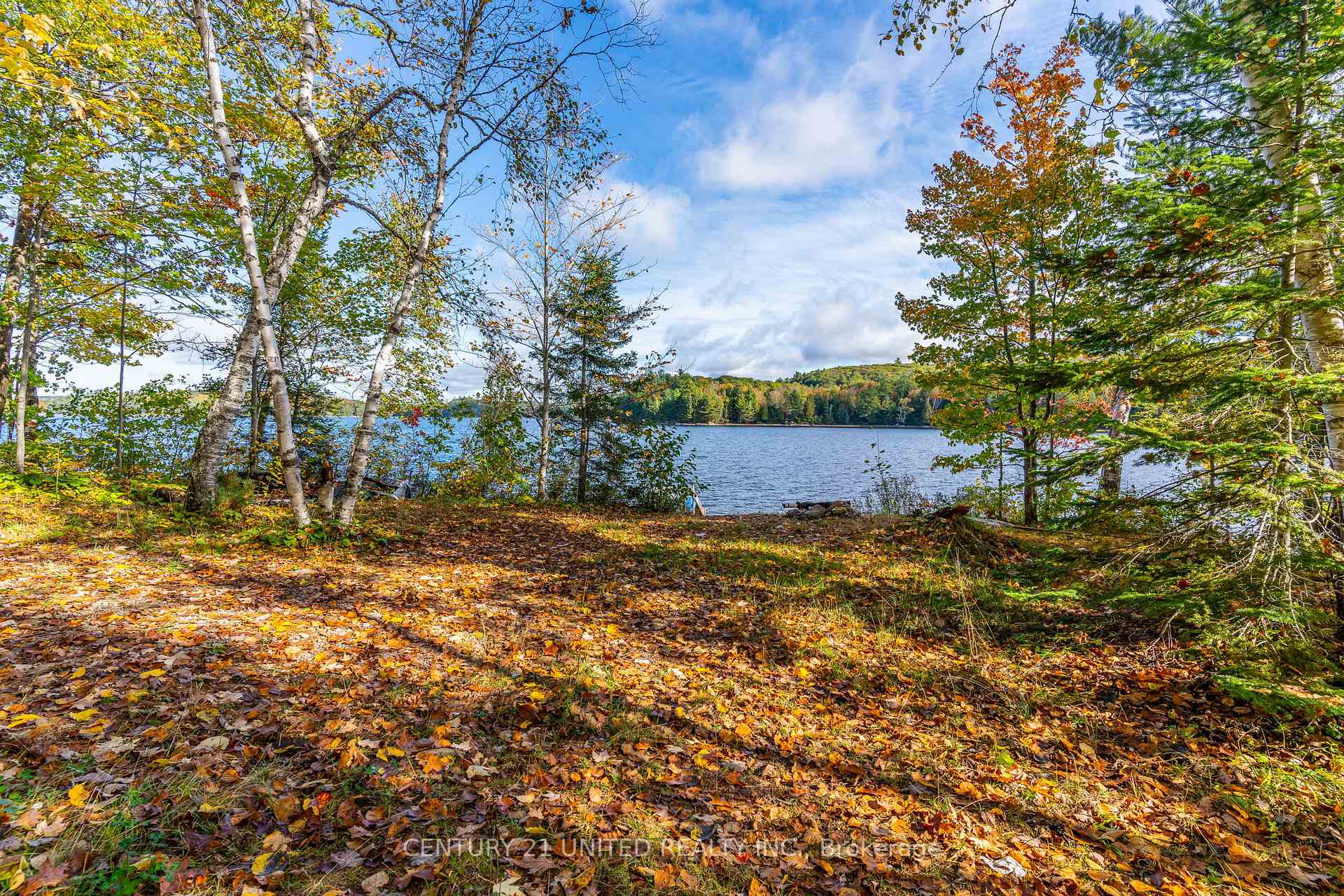 Photo 41 of 19181 Highway #35, Algonquin Highlands, Stanhope — HOMEH