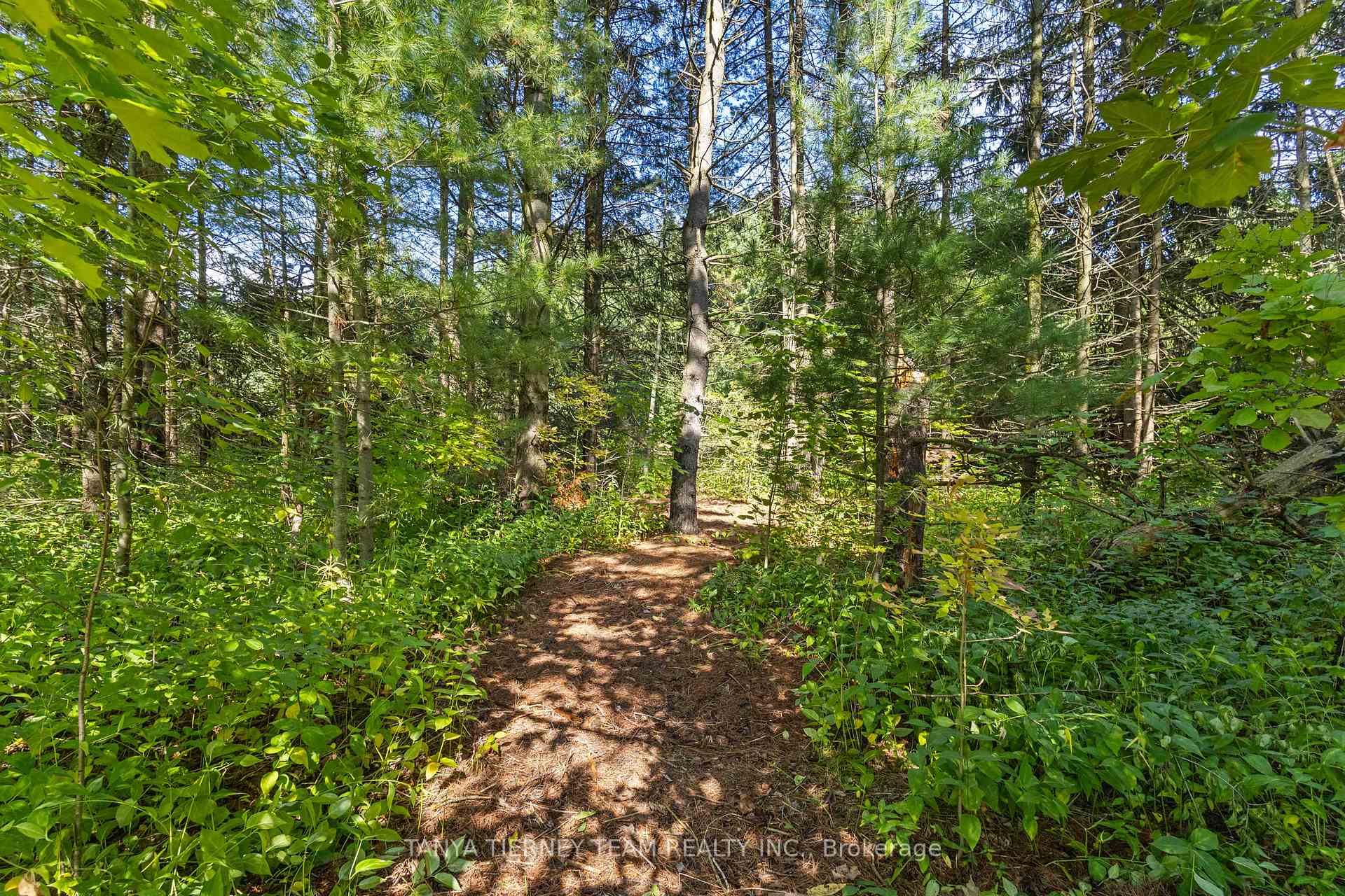 Photo 47 of 57 Ward Street, Whitby, Rural Whitby — HOMEH