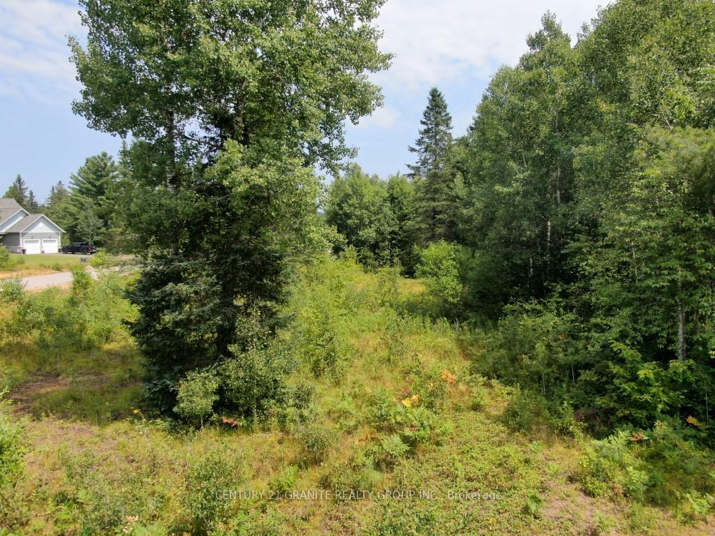 Photo 8 of 58 Nicklaus Drive, Bancroft, Bancroft Ward — HOMEH