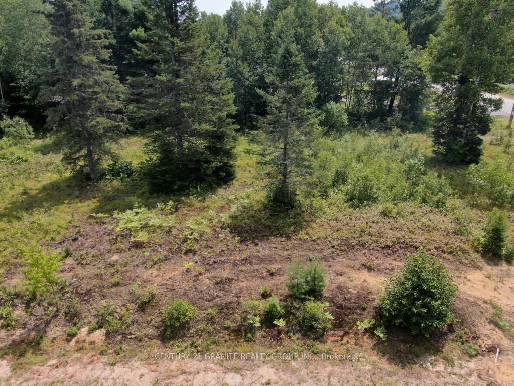 Photo 10 of 58 Nicklaus Drive, Bancroft, Bancroft Ward — HOMEH