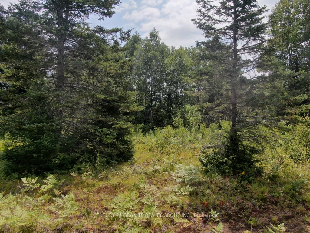 Photo 12 of 58 Nicklaus Drive, Bancroft, Bancroft Ward — HOMEH