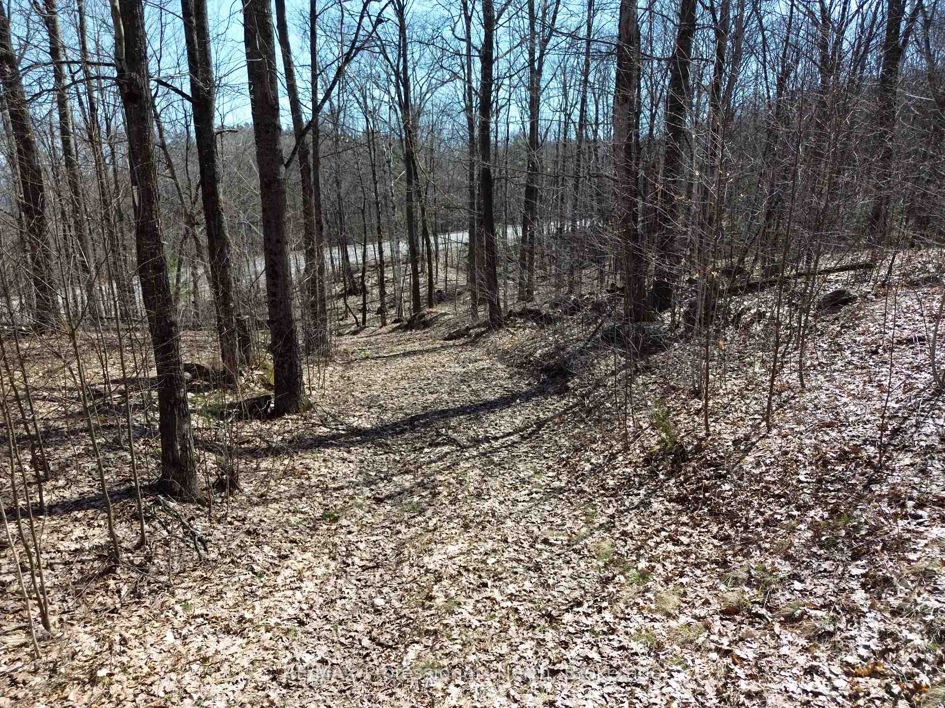 Photo 1 of 1023 Little Hawk Lake Road, Algonquin Highlands, Stanhope — HOMEH