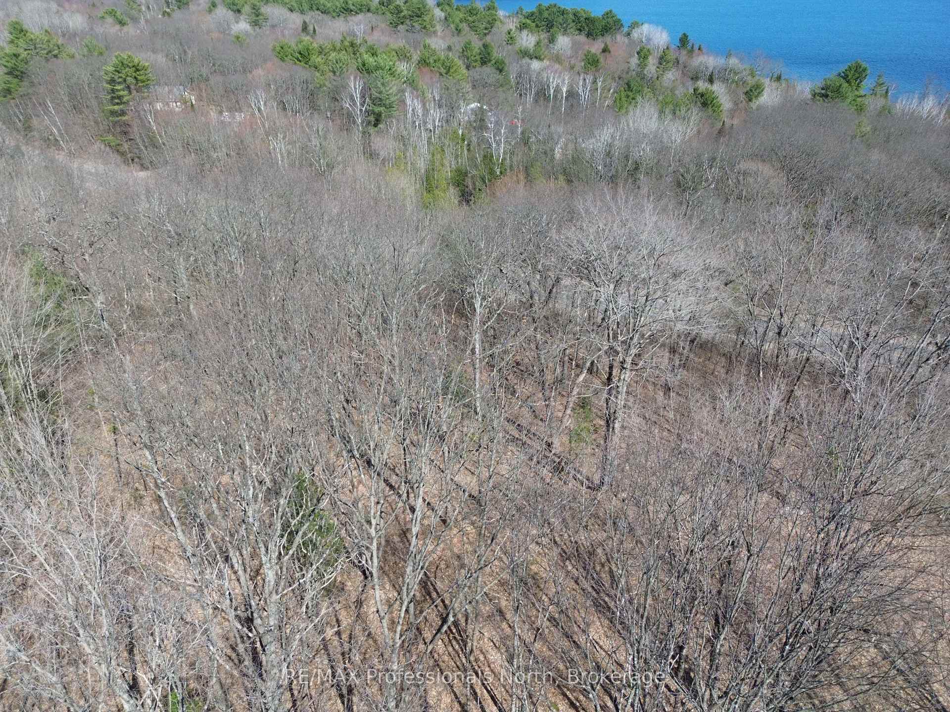 Photo 3 of 1023 Little Hawk Lake Road, Algonquin Highlands, Stanhope — HOMEH