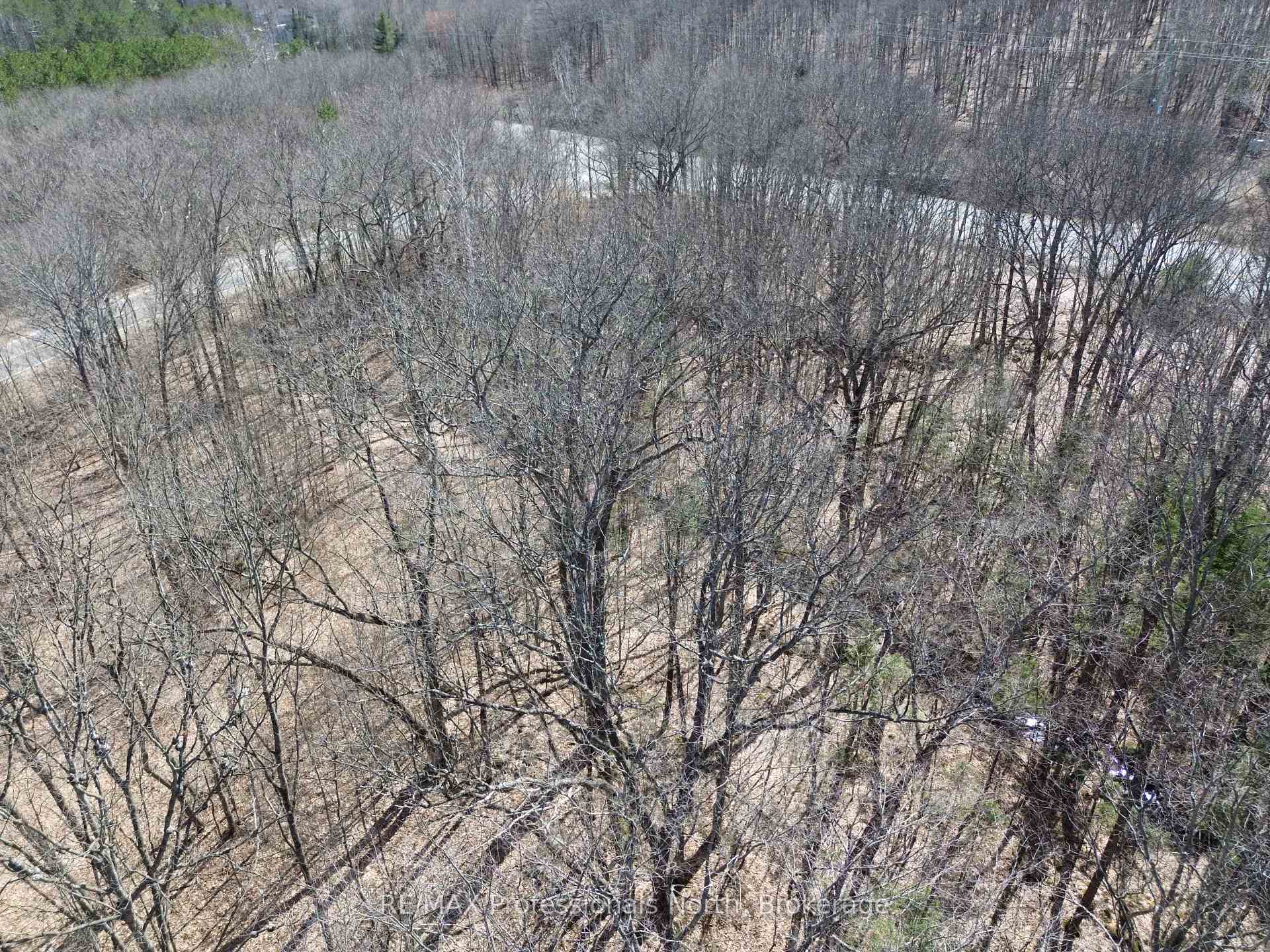 Photo 5 of 1023 Little Hawk Lake Road, Algonquin Highlands, Stanhope — HOMEH