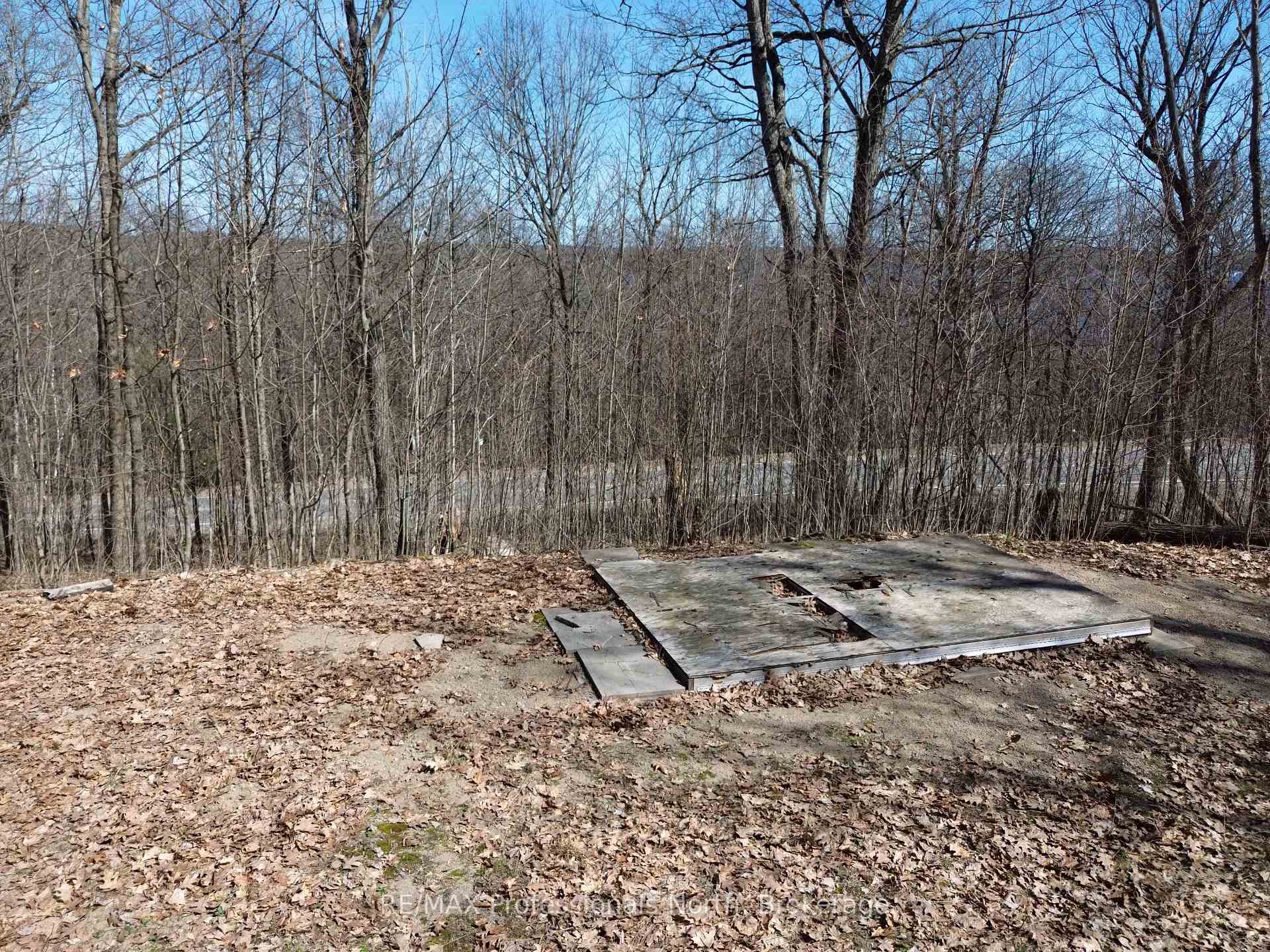 Photo 6 of 1023 Little Hawk Lake Road, Algonquin Highlands, Stanhope — HOMEH