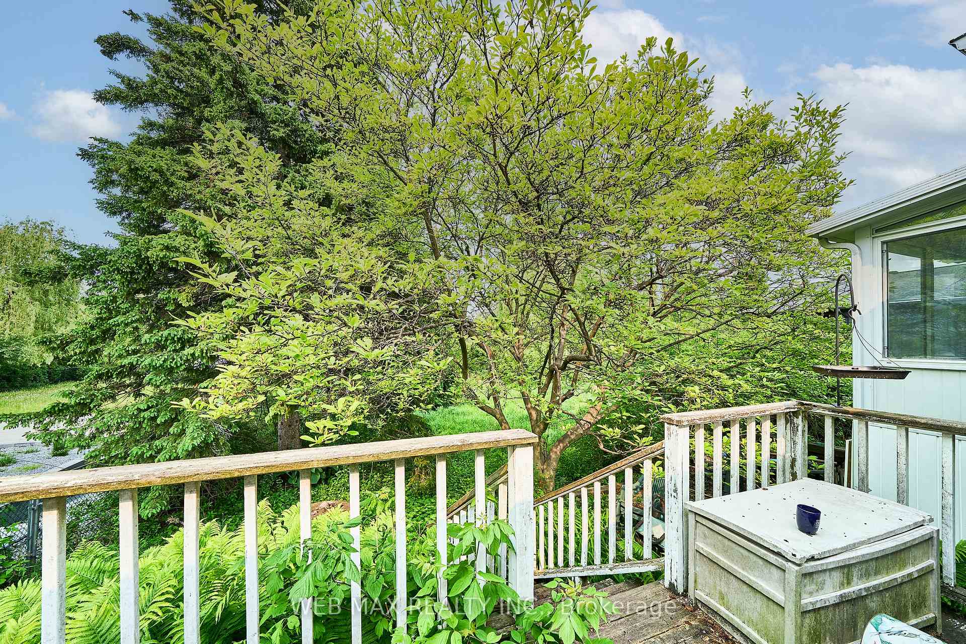 Photo 18 of 34 Scott Street, Whitby, Blue Grass Meadows — HOMEH