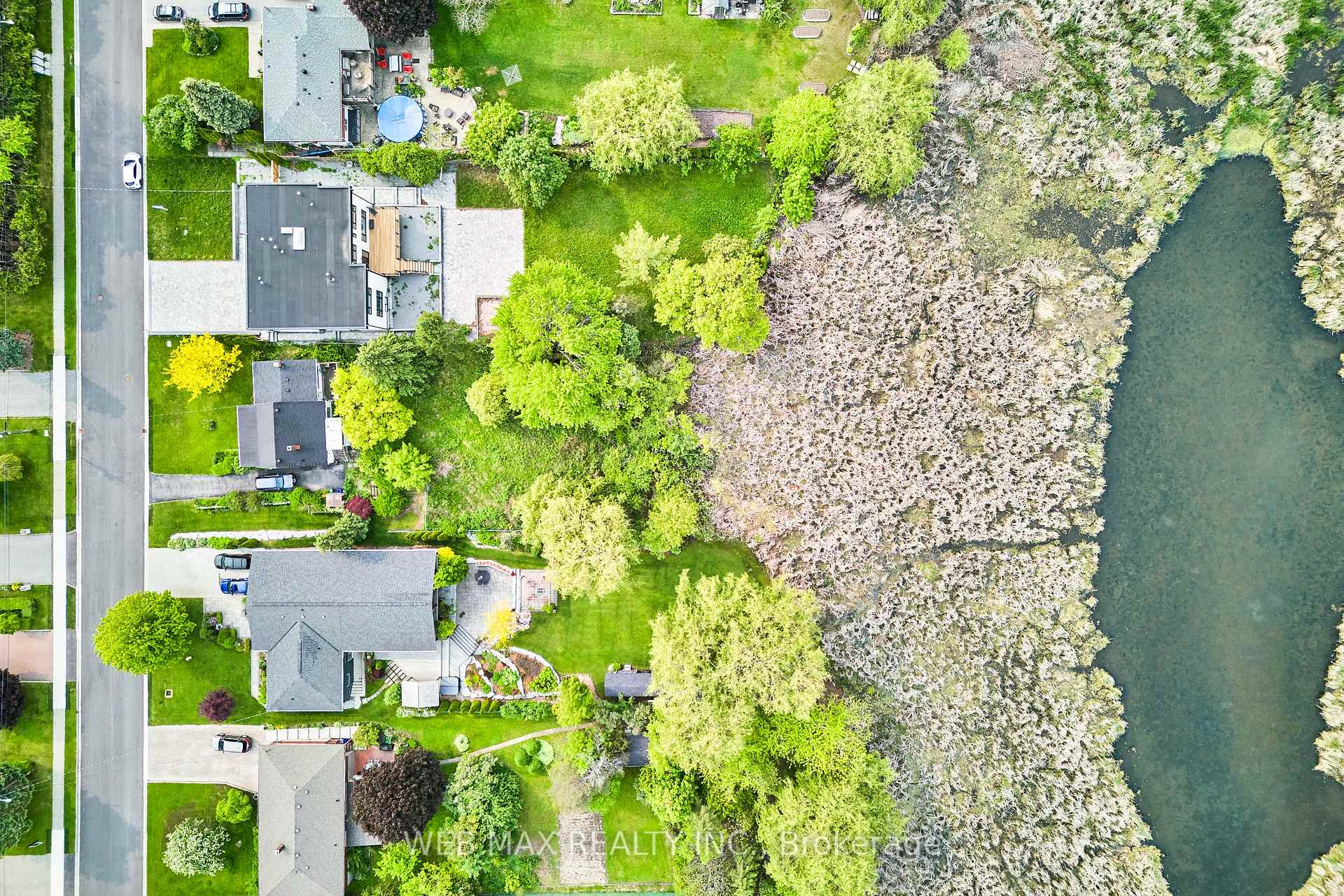 Photo 29 of 34 Scott Street, Whitby, Blue Grass Meadows — HOMEH