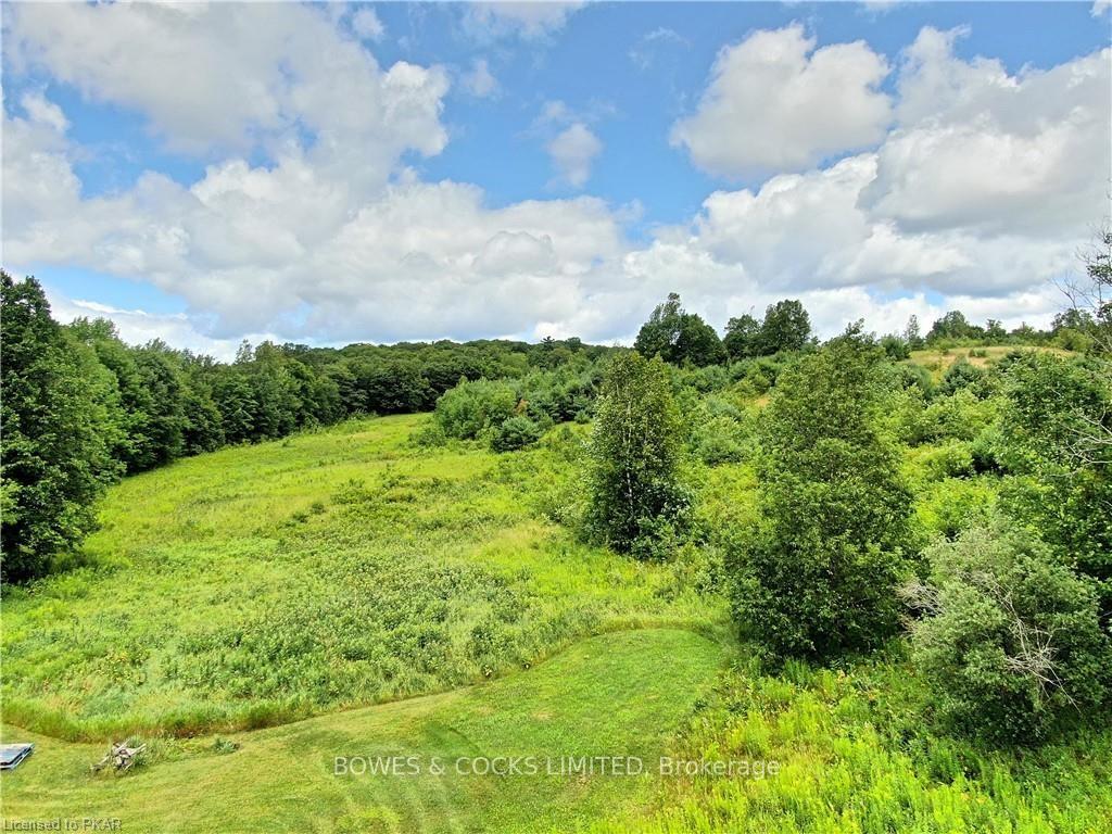 Photo 10 of 114 Moore Lane, Bancroft, Dungannon Ward — HOMEH