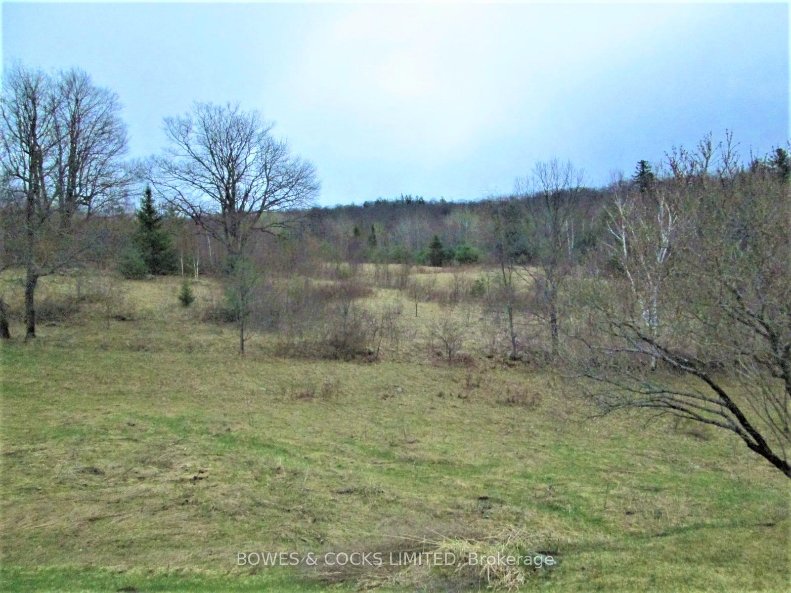 Photo 30 of 114 Moore Lane, Bancroft, Dungannon Ward — HOMEH