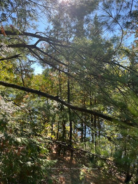 Photo 1 of 7812 Birch Drive, Ramara, Rural Ramara — HOMEH