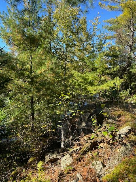 Photo 2 of 7812 Birch Drive, Ramara, Rural Ramara — HOMEH