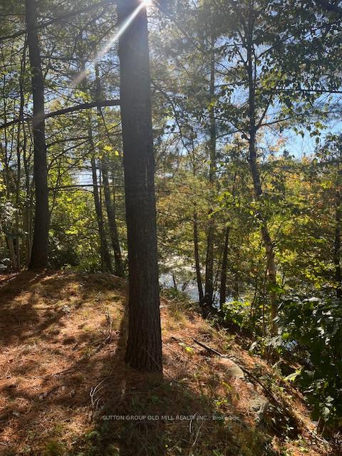 Photo 3 of 7812 Birch Drive, Ramara, Rural Ramara — HOMEH