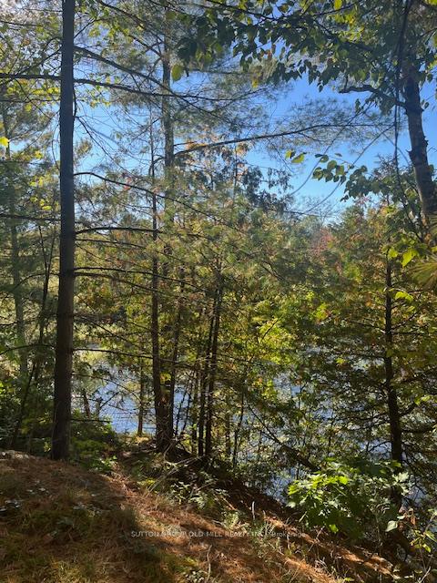 Photo 4 of 7812 Birch Drive, Ramara, Rural Ramara — HOMEH