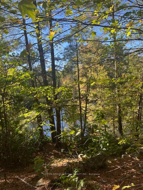 Photo 5 of 7812 Birch Drive, Ramara, Rural Ramara — HOMEH