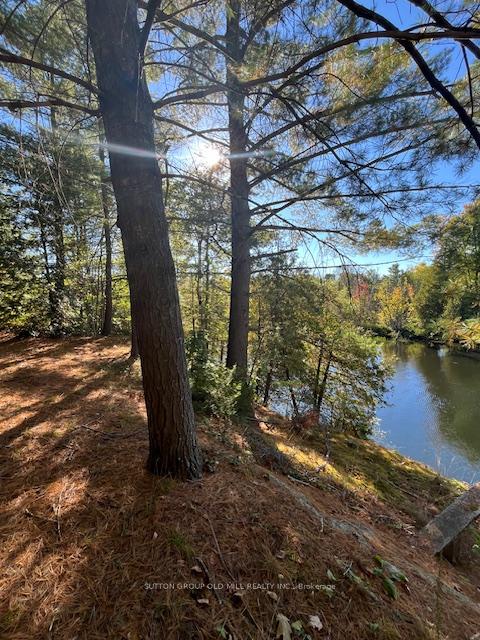 Photo 6 of 7812 Birch Drive, Ramara, Rural Ramara — HOMEH