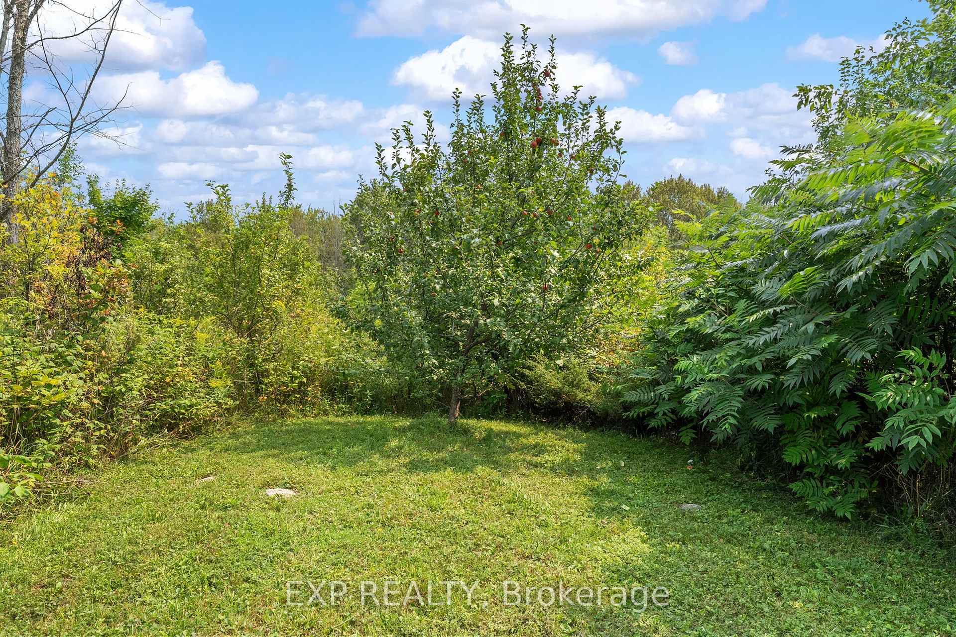 Photo 34 of 3090 Monck Road, Ramara, Rural Ramara — HOMEH