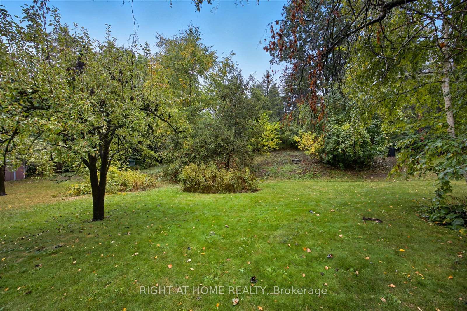Photo 31 of 81 Meadow Crescent, Whitby, Blue Grass Meadows — HOMEH