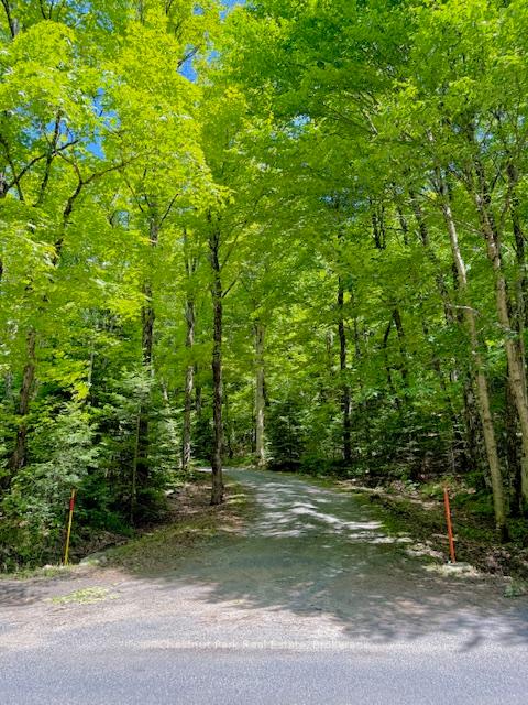 Photo 5 of 1101 Harris Road, Algonquin Highlands, McClintock — HOMEH