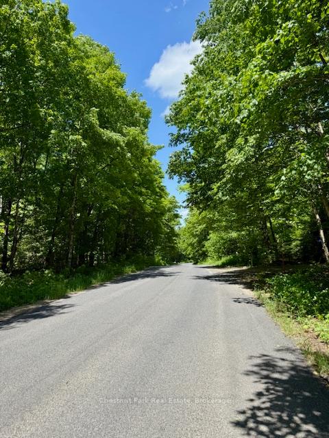 Photo 42 of 1101 Harris Road, Algonquin Highlands, McClintock — HOMEH