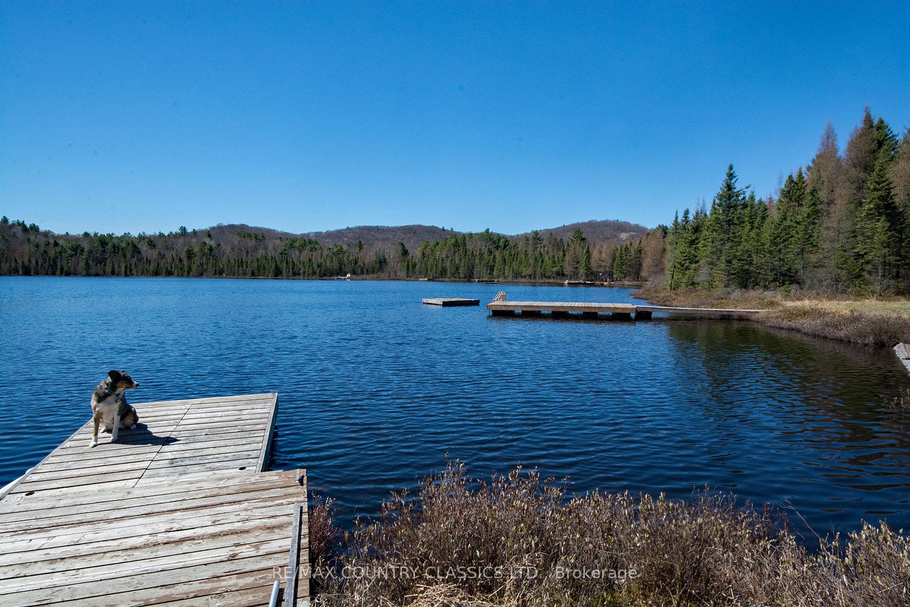 Photo 15 of 7 Vanluven Lane, Bancroft, Bancroft Ward — HOMEH