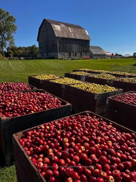 Photo 32 of 657 Bongards Cross Road, Prince Edward County, North Marysburg Ward — HOMEH
