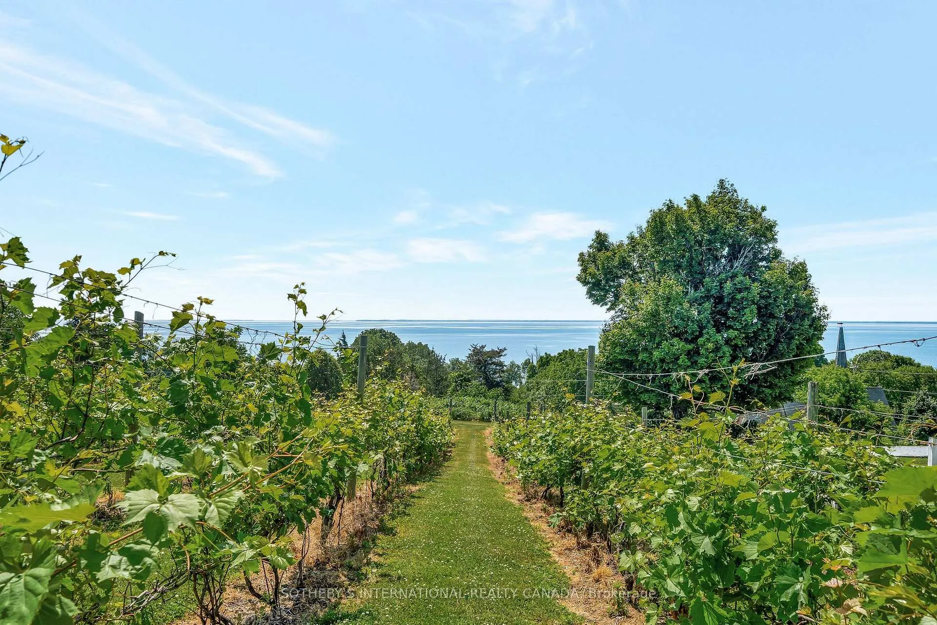 Photo 34 of 657 Bongards Cross Road, Prince Edward County, North Marysburg Ward — HOMEH