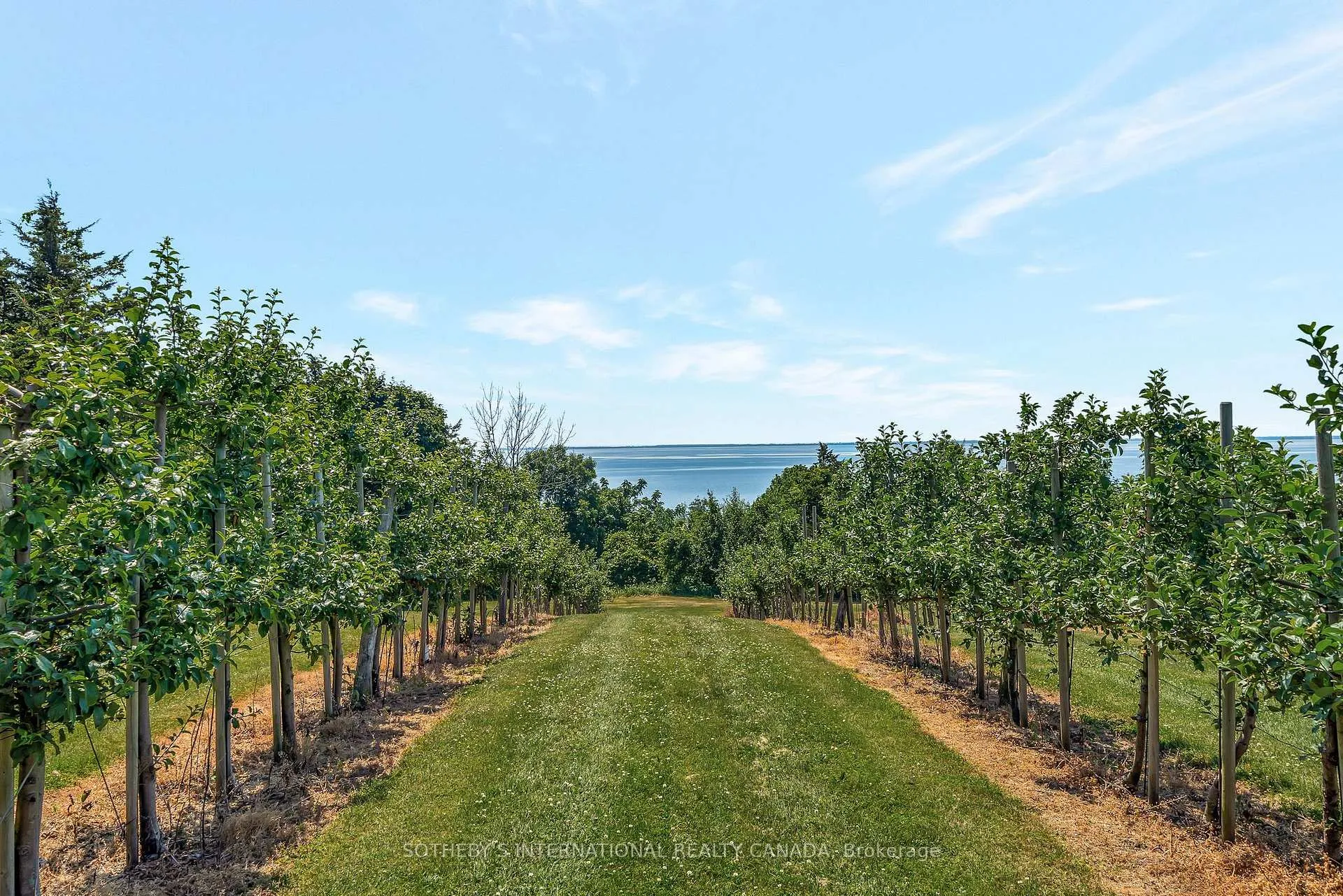 Photo 35 of 657 Bongards Cross Road, Prince Edward County, North Marysburg Ward — HOMEH