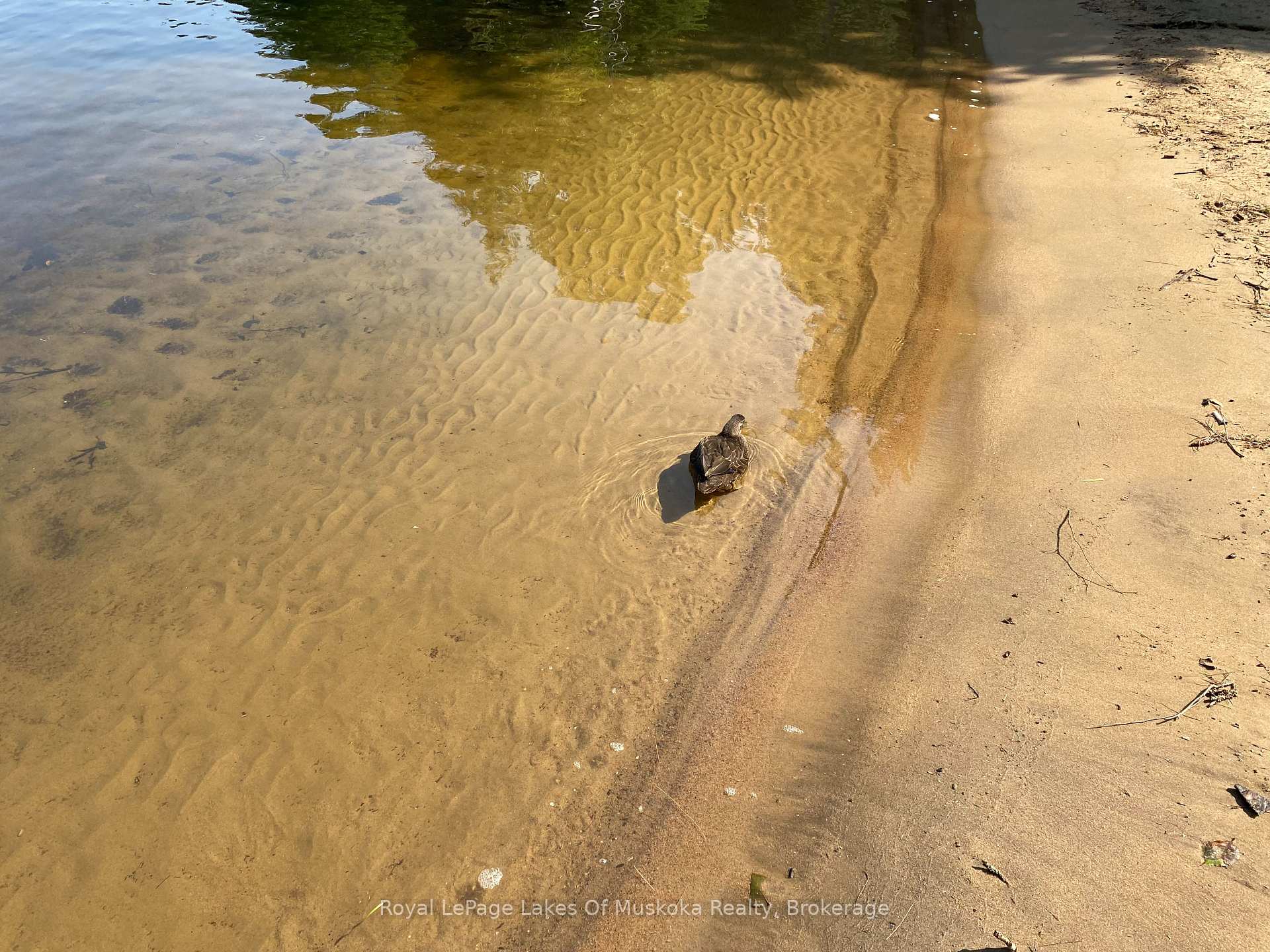 Photo 5 of 1011 Hollow Point Drive N, Algonquin Highlands, Sherborne — HOMEH