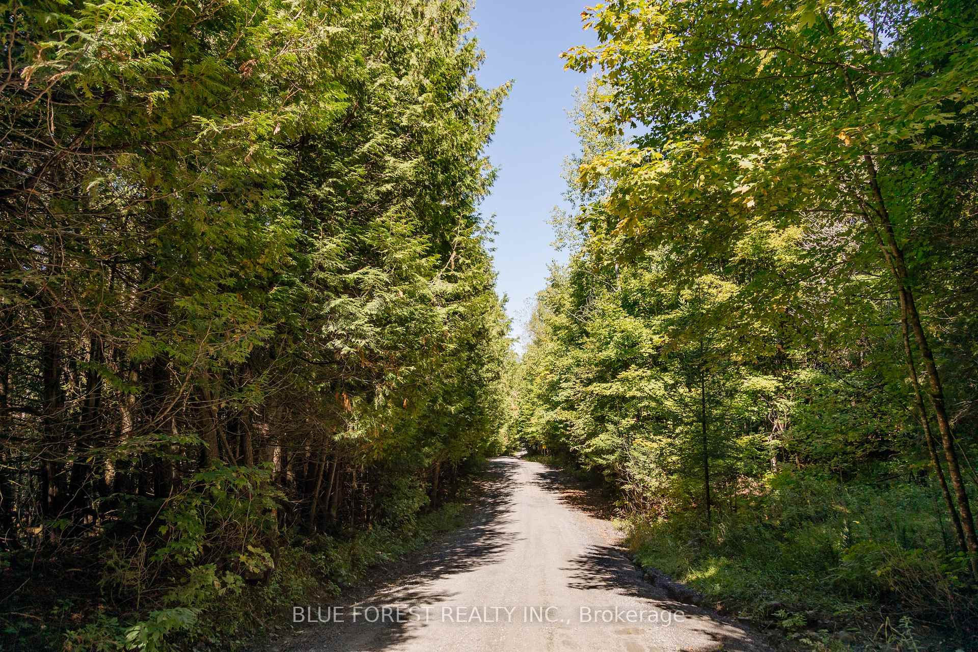 Photo 3 of lot 69 25th Line, Algonquin Highlands, Stanhope — HOMEH
